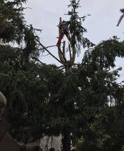 Paysagiste Descharmes Yoann image 3