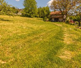 Pension Landhaus Bild 2
