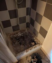 Quali'clean Propreté image 14