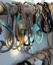 Schönes Hundeleben Bild 1