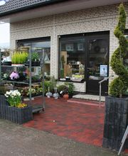 Inselblume Bild 1