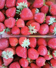 La Petite Jardinerie image 5