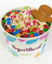 Yogurtland Cupertino image 1