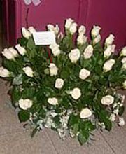 rosas-blancas-05.jpg