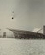 Gärtnerei Constantinescu Bild 5