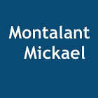 Brocanteur Montalant Mickael