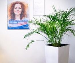 Grünpflanze im Flur. Dahinter ein WBS TRAINING Plakat.