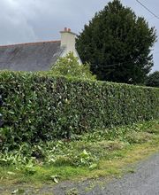 Celtique Paysage image 12