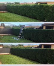 Poulenard paysage image 10