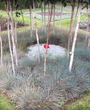 Gartenbau Schalbetter Bild 4