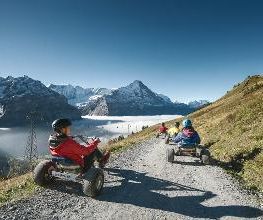 First Mountain Cart Bild 4