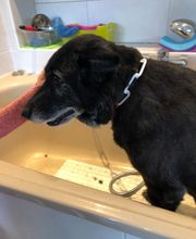 Chez Miss Perle image 19