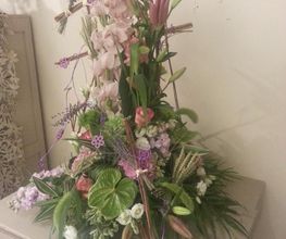 A Fleur De Pot image 16