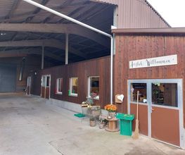 Holzbau Roth AG Bild 8