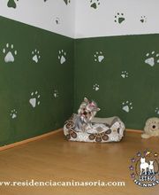 RESIDENCIA CANINA SORIA imagen 3