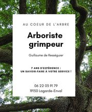 Au coeur de l'arbre image 1