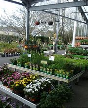 Les Jardins de Porh Mirabeau image 1