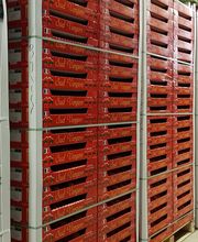 Rabes Primeurs SARL image 2