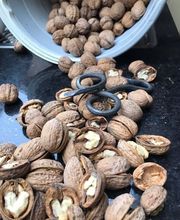 MARTIN L'ARTIGIANO Sagl Bild 10