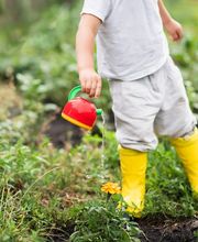 Micro creche Aux Heures Douces image 4
