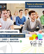 Cogefi Formation image 4