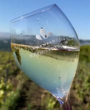 CHAMPAGNE RÉDEMPTEUR image 2