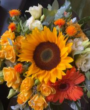 Blumen Petermann Bild 4