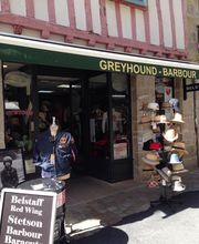 Greyhound image 2