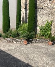 Galli Garden Sagl Bild 10