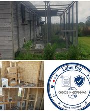 Patchou et Compagnie image 6