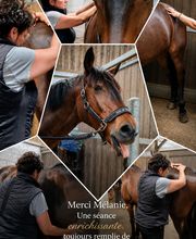 Mel Vigot image 20
