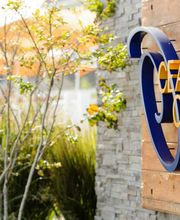 Ocean Club Hotel image 8