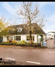 Dierenhotel Pandora afbeelding 13