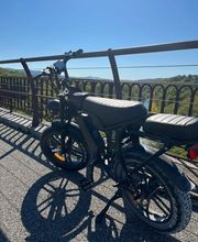 LM FatBikes image 2