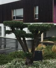 Jonathan Parcs Et Jardins image 1