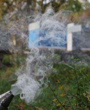 L'Abeille des Sources image 3