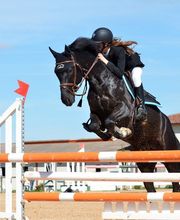 Fauche Philippe image 8