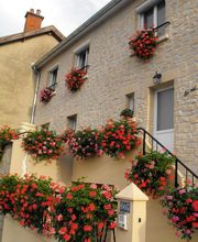 Waris Larmandier EARL image 8