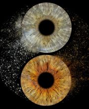 You & Eye Photo Montreux Bild 13