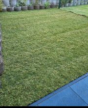 GaLaBau E & B Bild 2