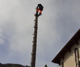 Evd Cerdagne image 6