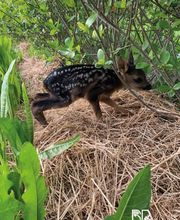 Biohof Beckerwerth Bild 7