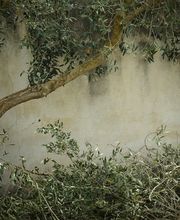 Bruno Jardins image 7