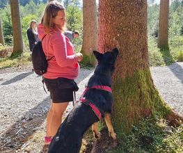 MEHR Hundeschule Bild 6