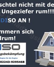 DISO Schädlingsbekämpfung Bild 6