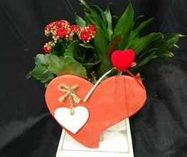 Floristería Imabel imagen 9