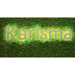 Salone Karisma logo