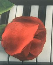 Zerrouki Stéphanie image 1