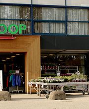 Zwaagdijk-Oost Welkoop NF