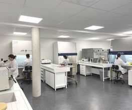 Labexan image 8